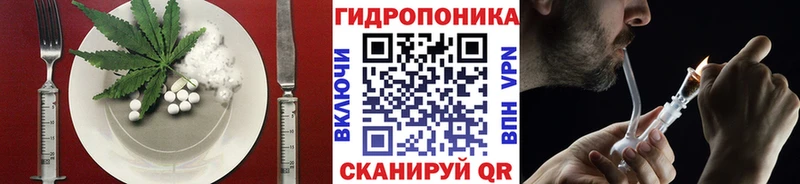 закладки  Белгород  omg ссылки  Cannafood марихуана 