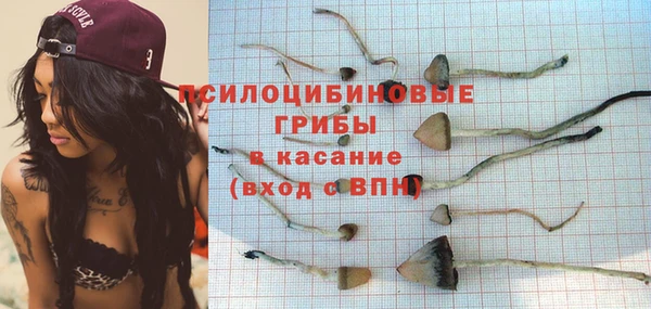 гидропоника Верхний Тагил