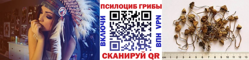 Псилоцибиновые грибы Psilocybe  Белгород 